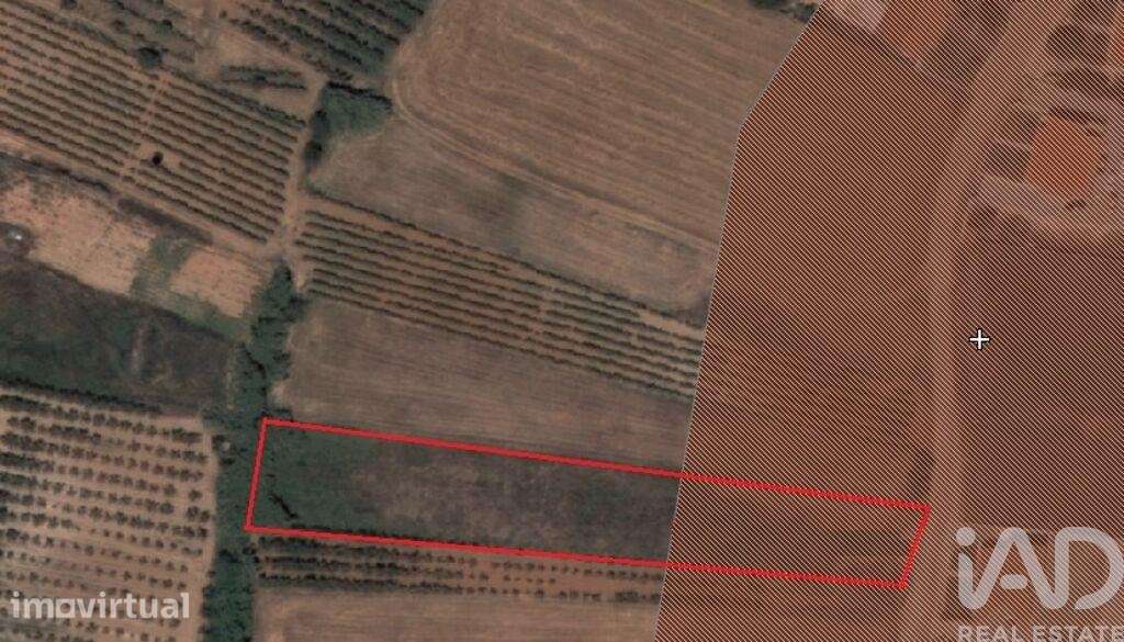 Terreno misto em Lamas e Cercal - Grande imagem: 3/12