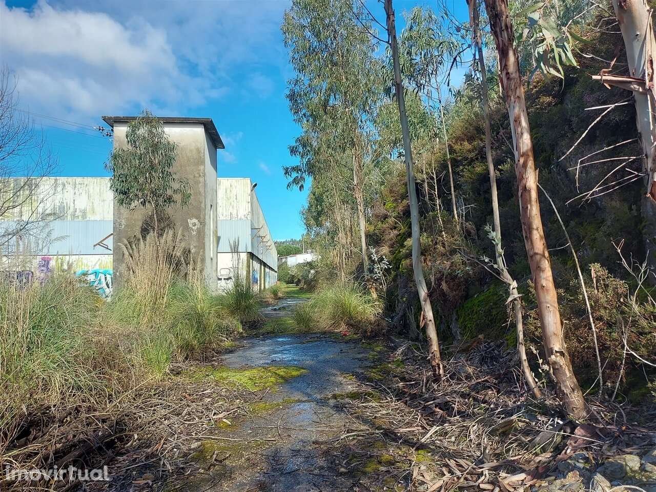 Terreno na Zona Industrial das Mimosas - Grande imagem: 4/16