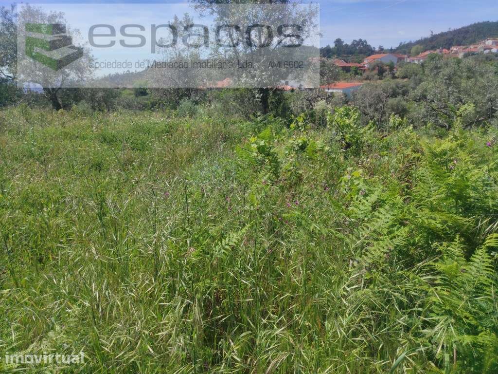 Terreno Rustico - Grande imagem: 3/16