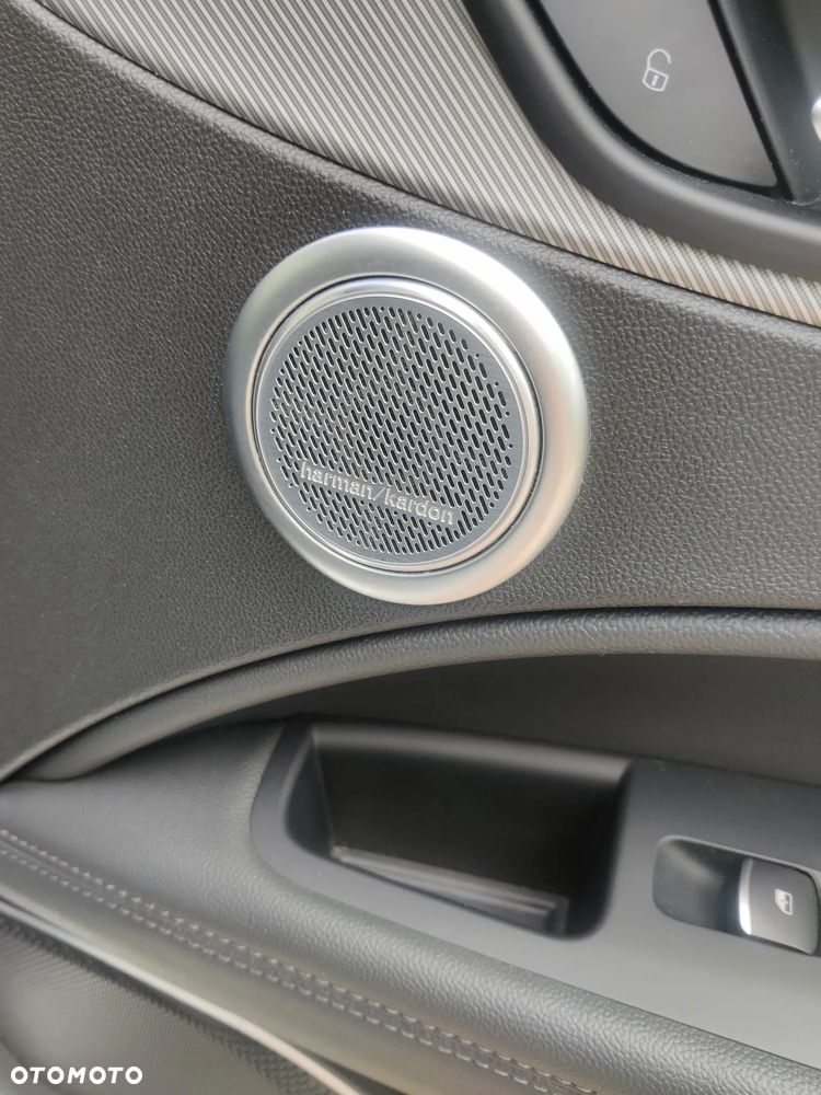 Alfa Romeo Stelvio 2.0 Turbo 16V AT8-Q4 Veloce Ti - 20