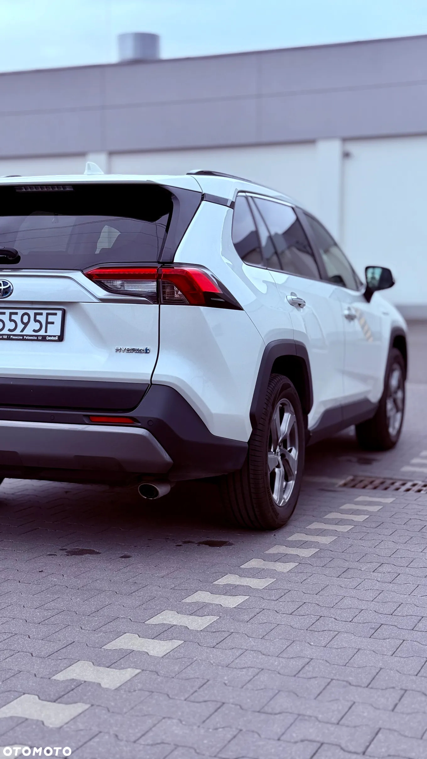 Toyota RAV4 2.5 Hybrid Executive 4x2 - 8