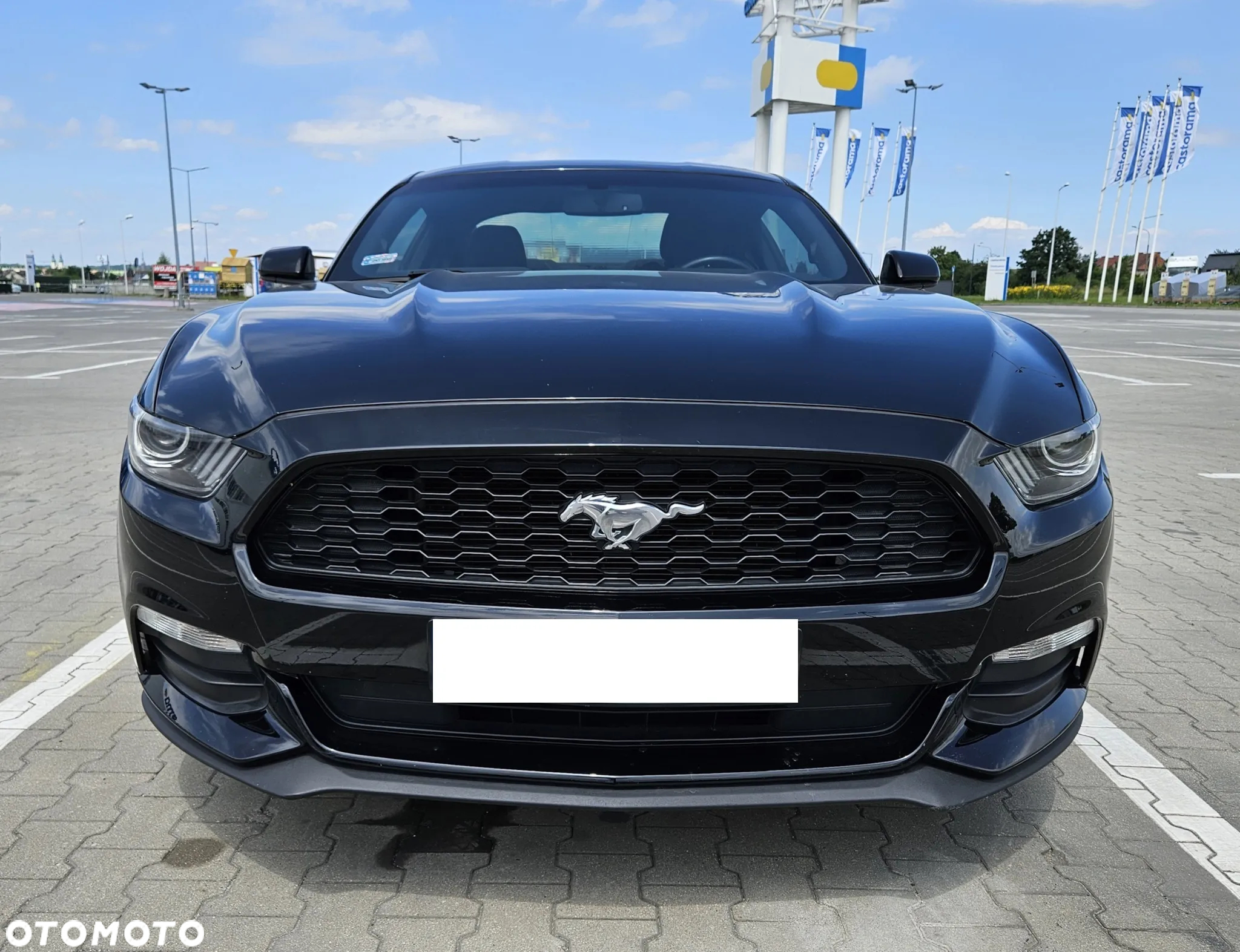 Ford Mustang - 2