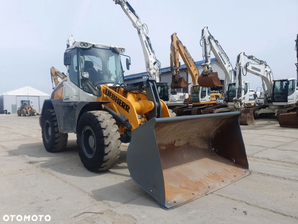 Liebherr L524 - 19