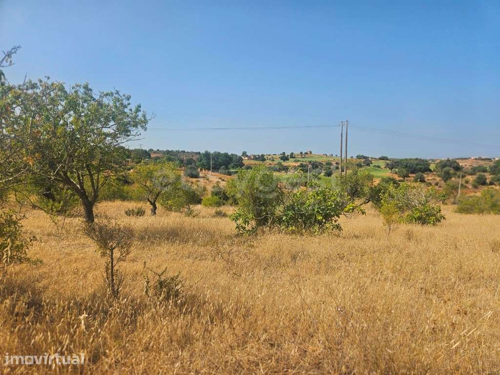 Terreno Rústico com 10.000 m² em Estômbar , Lagoa - Algarve - Grande imagem: 5/12