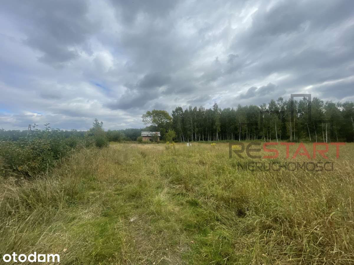 Pozemok, 3041 m²