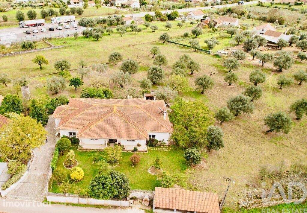 Moradia térrea T4 em Pelariga de 386 m2 - Grande imagem: 2/29