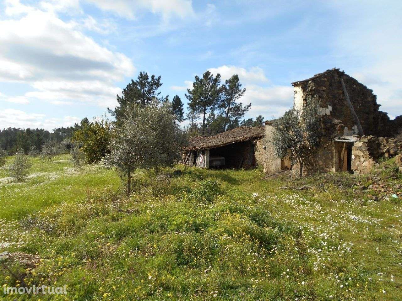 Quinta - Grande imagem: 5/10