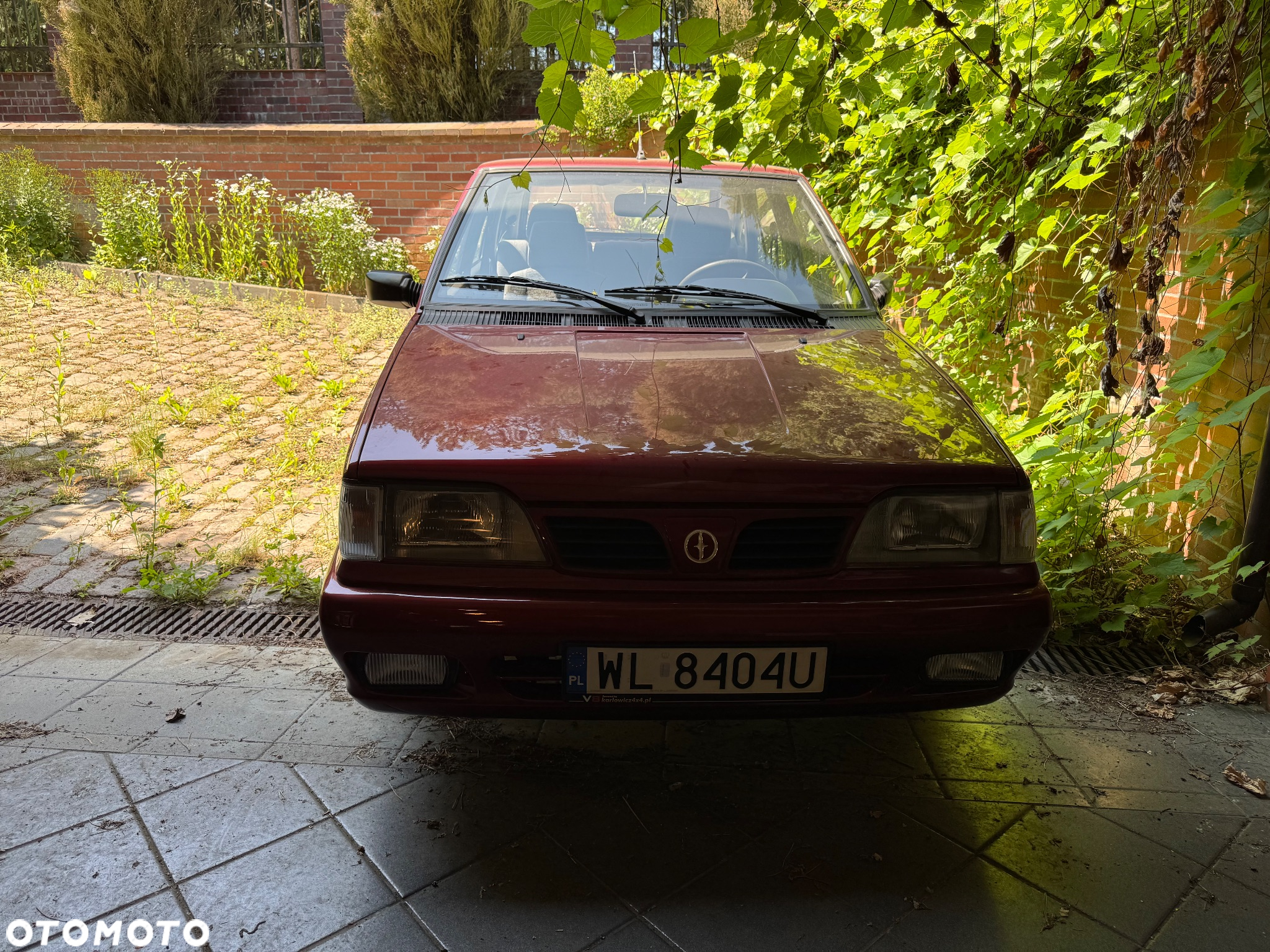 Polonez Caro - 7