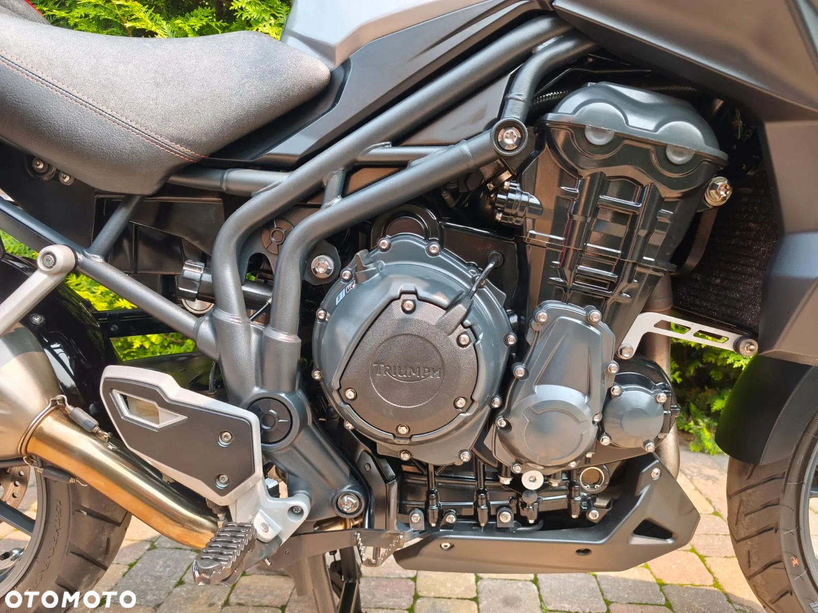Triumph Tiger - 10