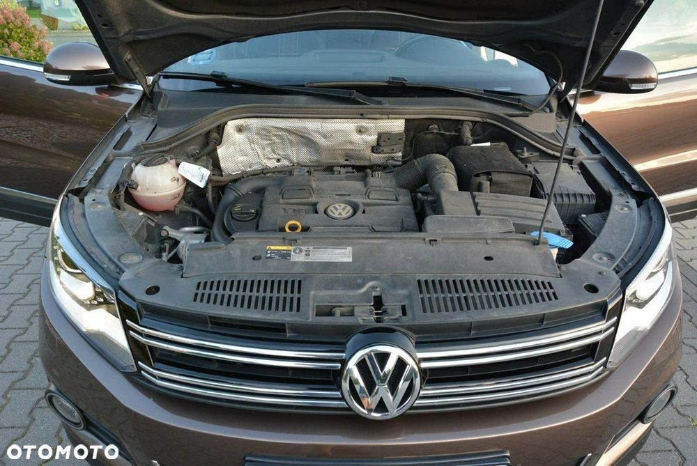 Volkswagen Tiguan - 34
