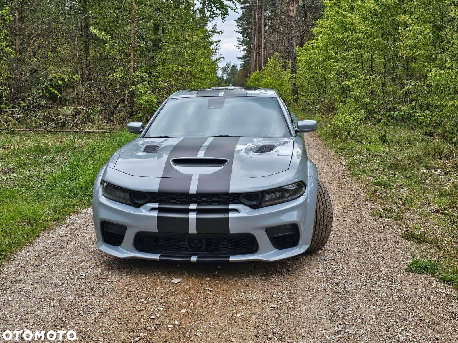 Dodge Charger 6.4 Scat Pack Widebody - 3