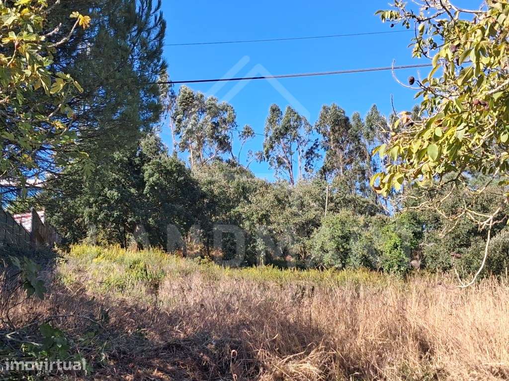 Terreno, Centro da Benedita - Grande imagem: 5/6