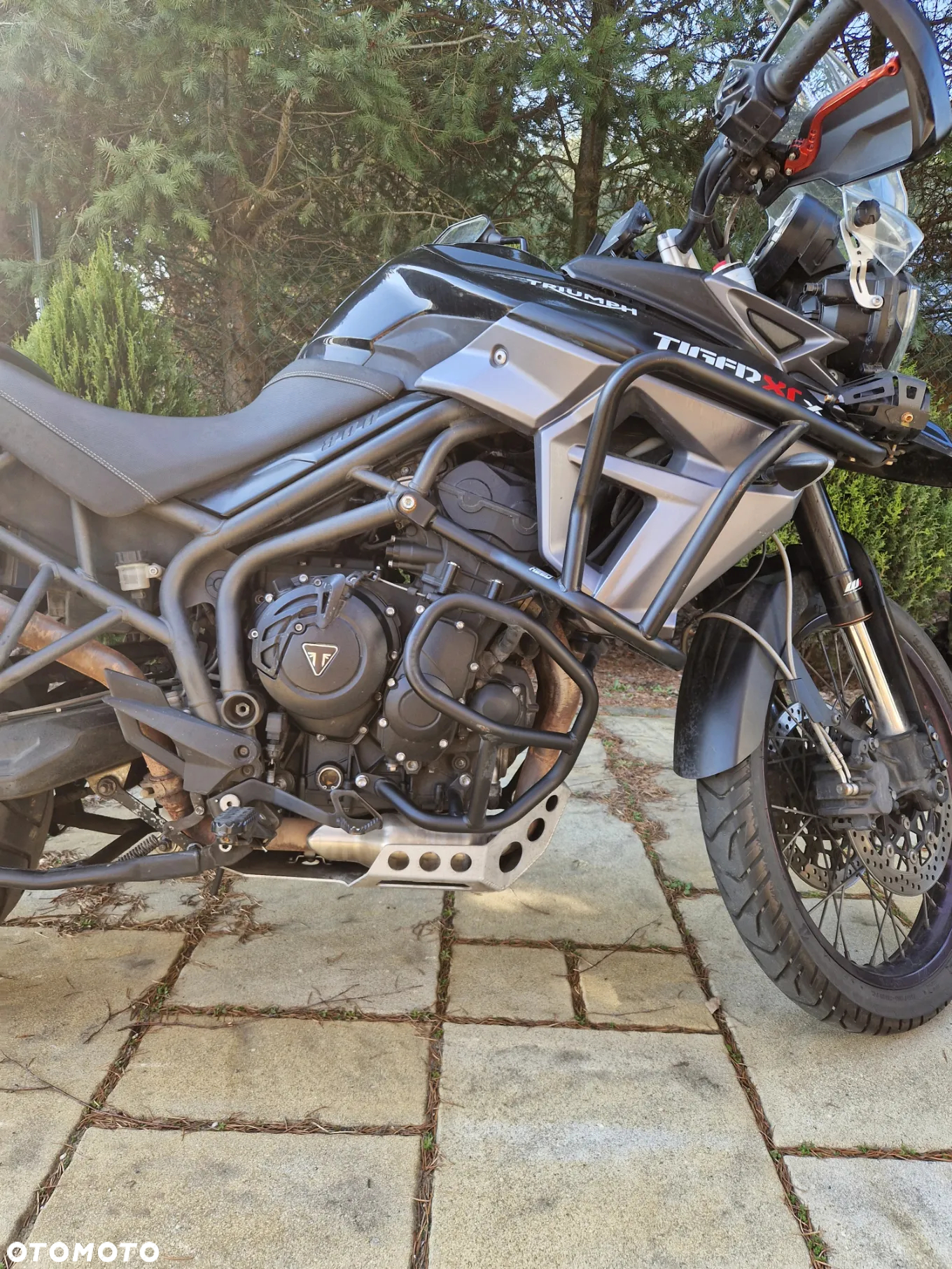 Triumph Tiger - 4