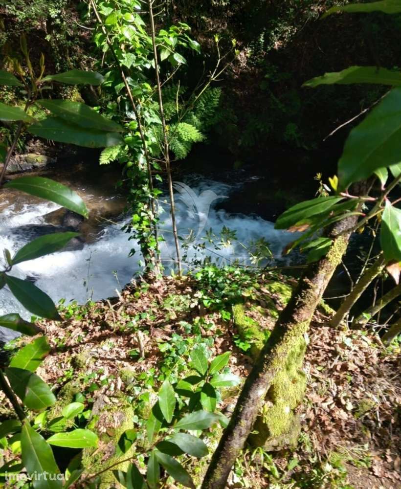 Azenha encantadora no coração da natureza — refúgio único junto à água - Grande imagem: 4/12
