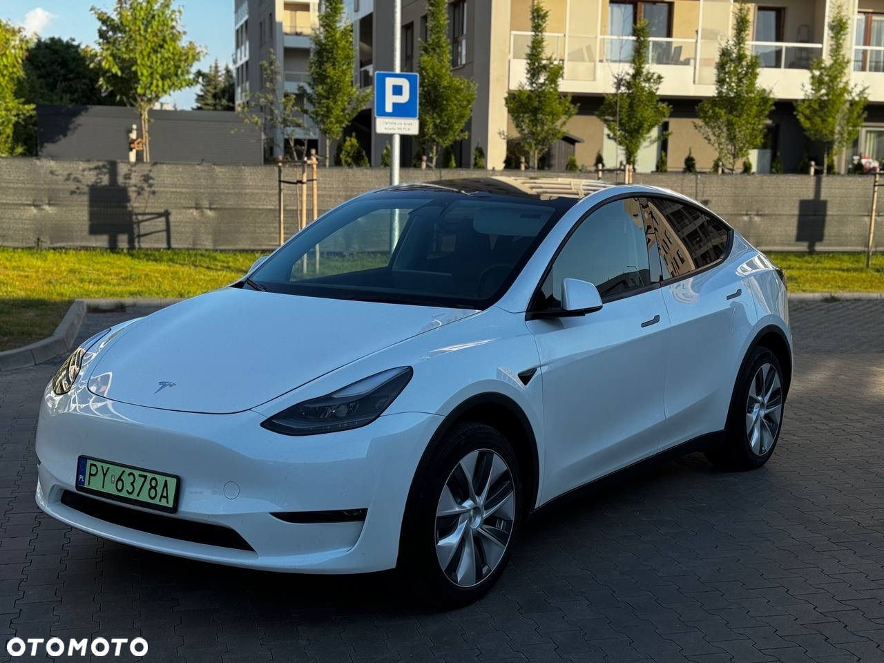 Tesla Y Model Long Range Dual Motor AWD - 14