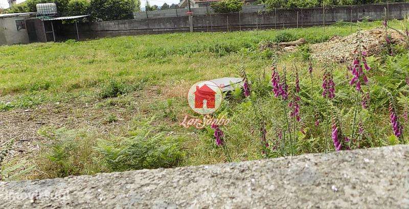 Terreno para construção em Landim - Grande imagem: 5/9