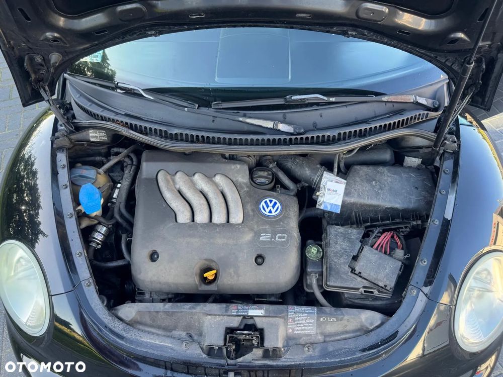Volkswagen Beetle - 17