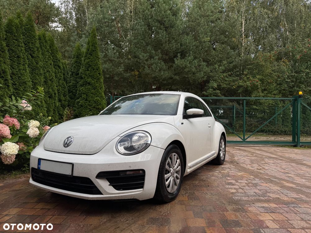 Volkswagen Beetle - 2