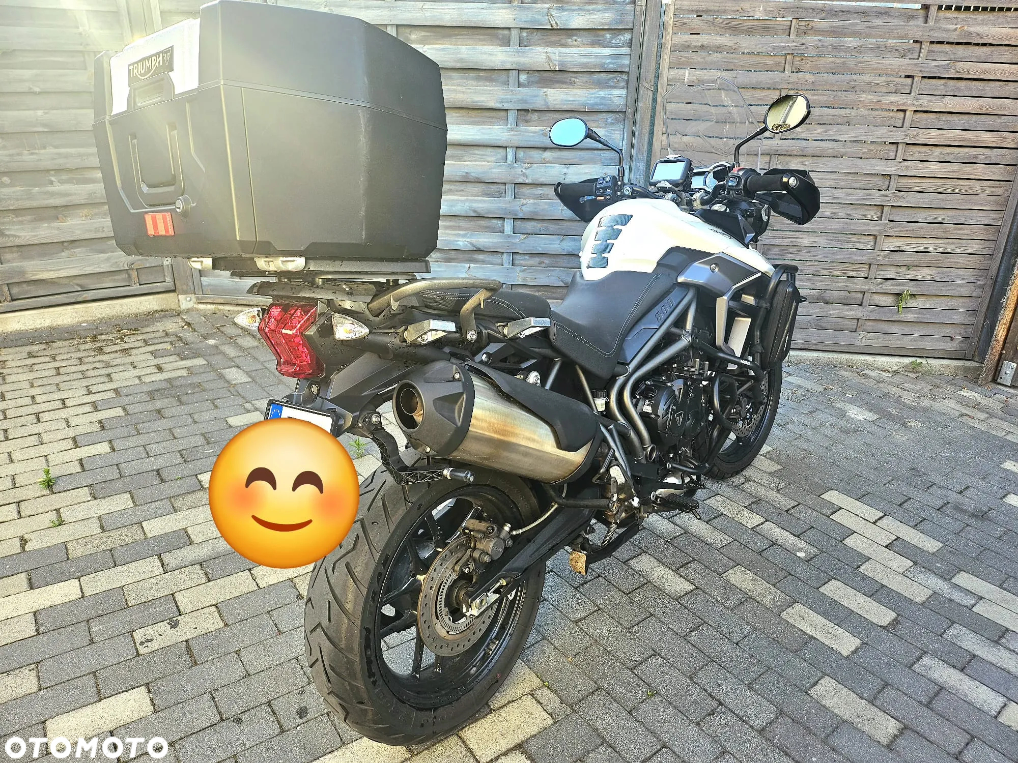 Triumph Tiger - 12