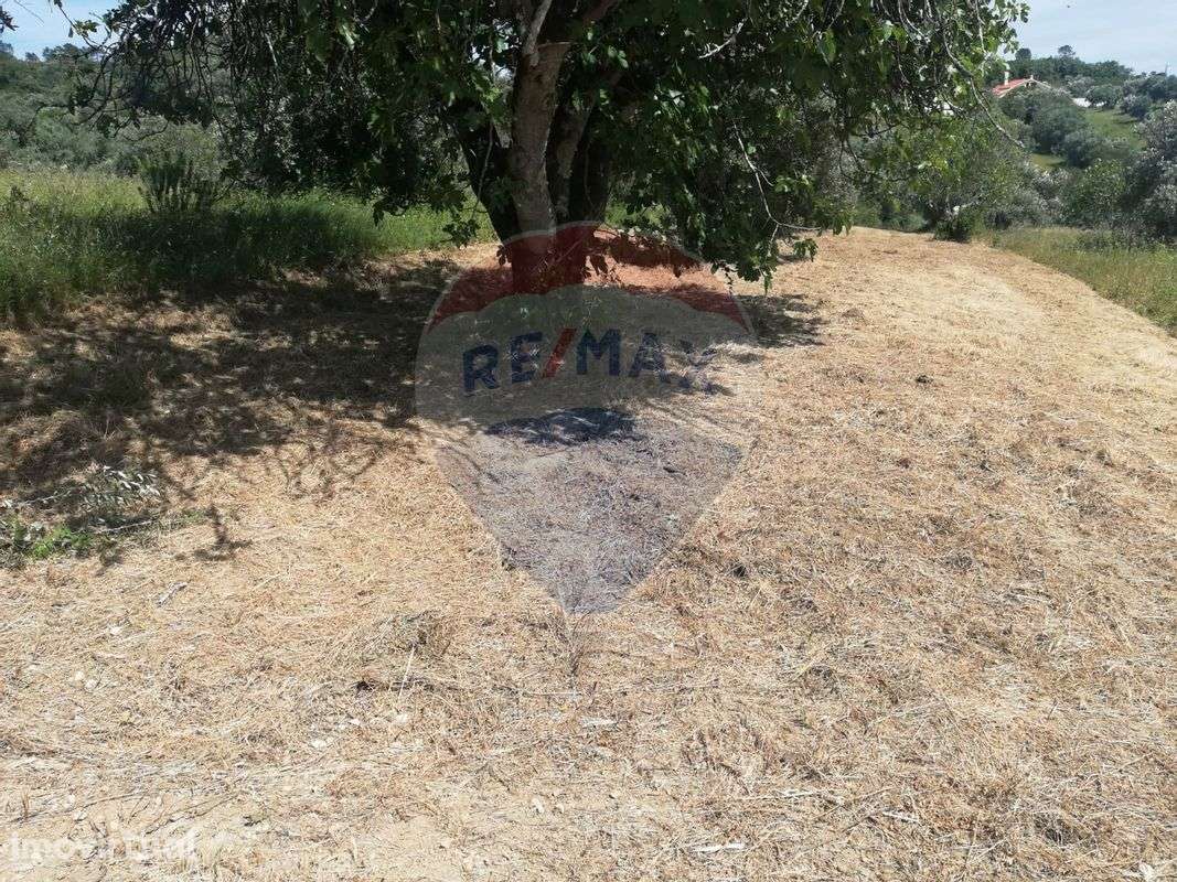 Terreno  para venda - Grande imagem: 3/4