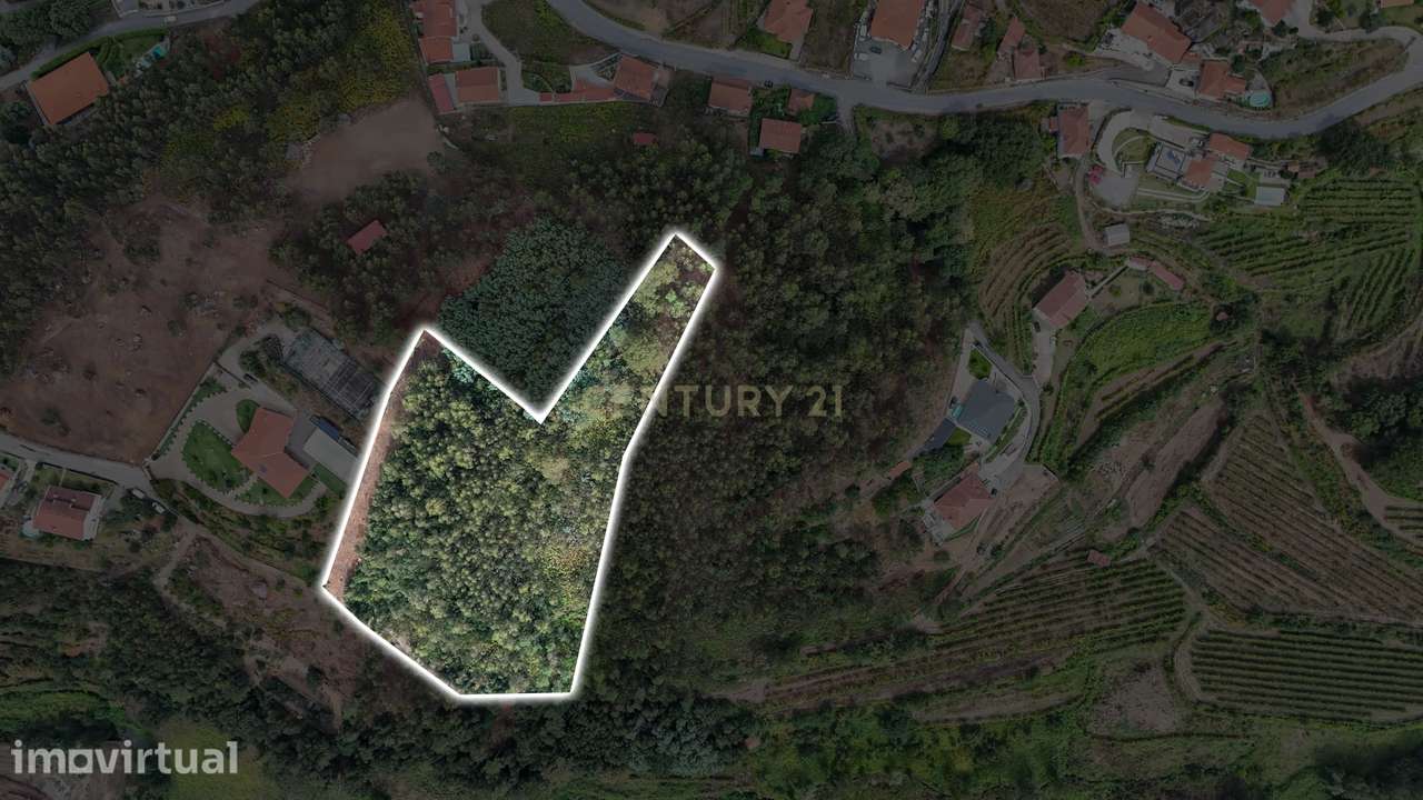 Venda de Terreno Rústico – Excelente Potencial para Projeto Fotovoltai