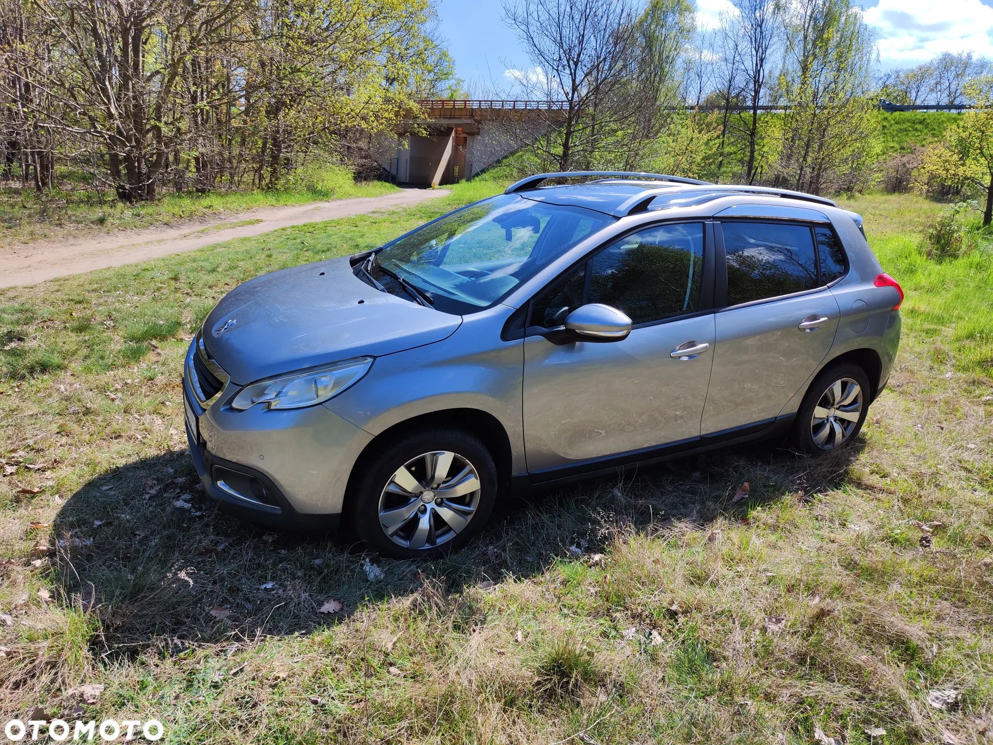 Peugeot 2008 - 1