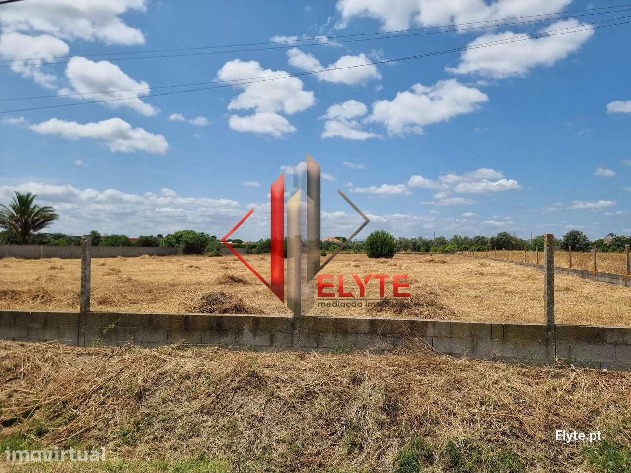 Terreno Urbano de 2500 m² em Benavente. - Grande imagem: 5/12