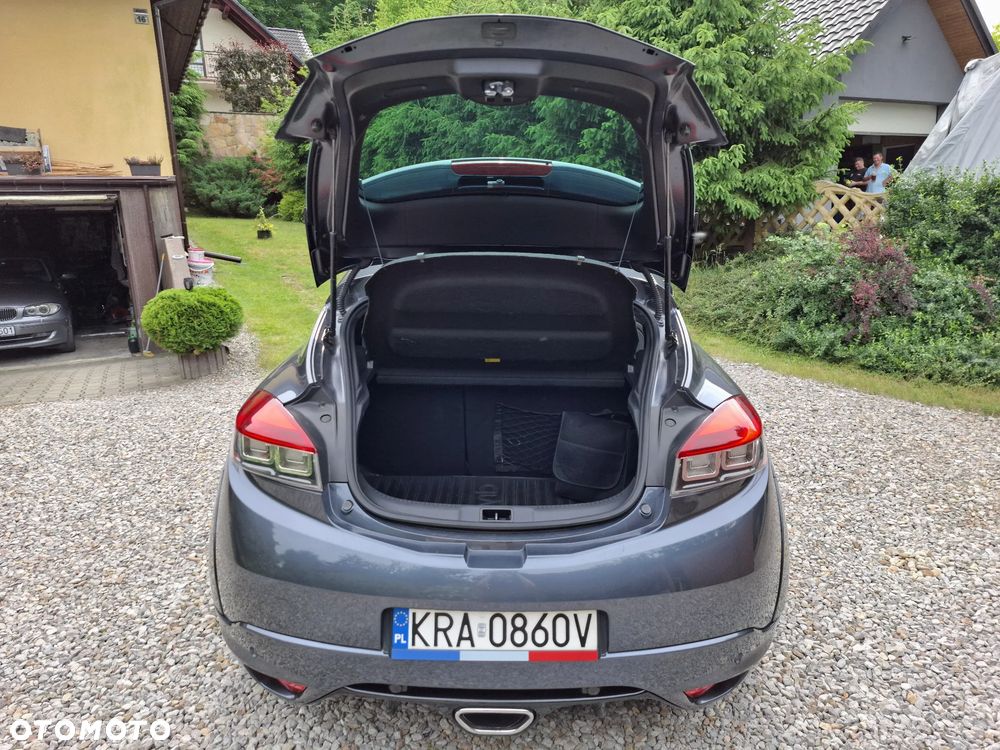 Renault Megane R.S EU6 - 10