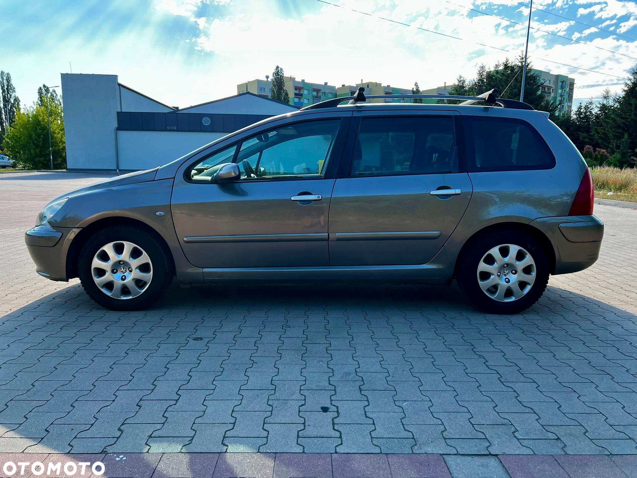 Peugeot 307 - 8