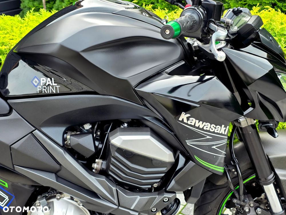 Kawasaki Z - 10