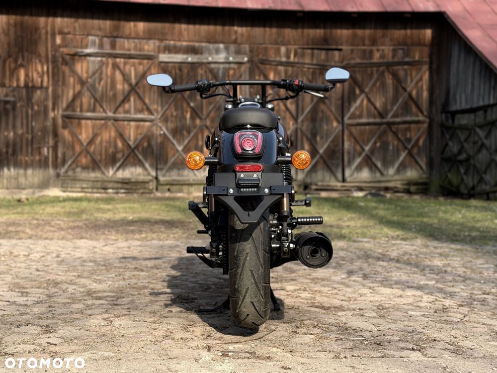 UM Renegade Freedom - 15