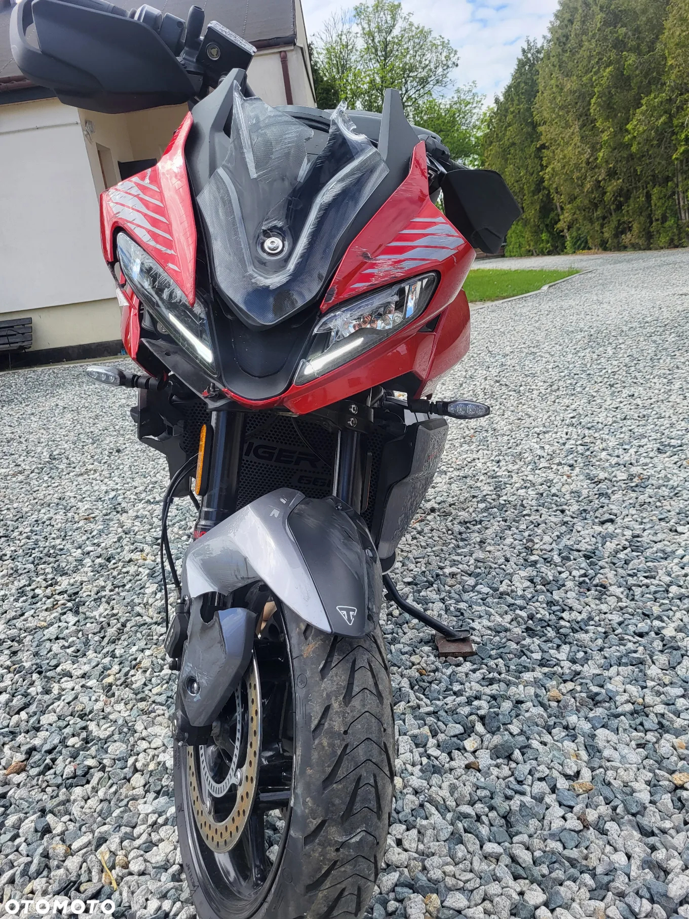 Triumph Tiger - 6