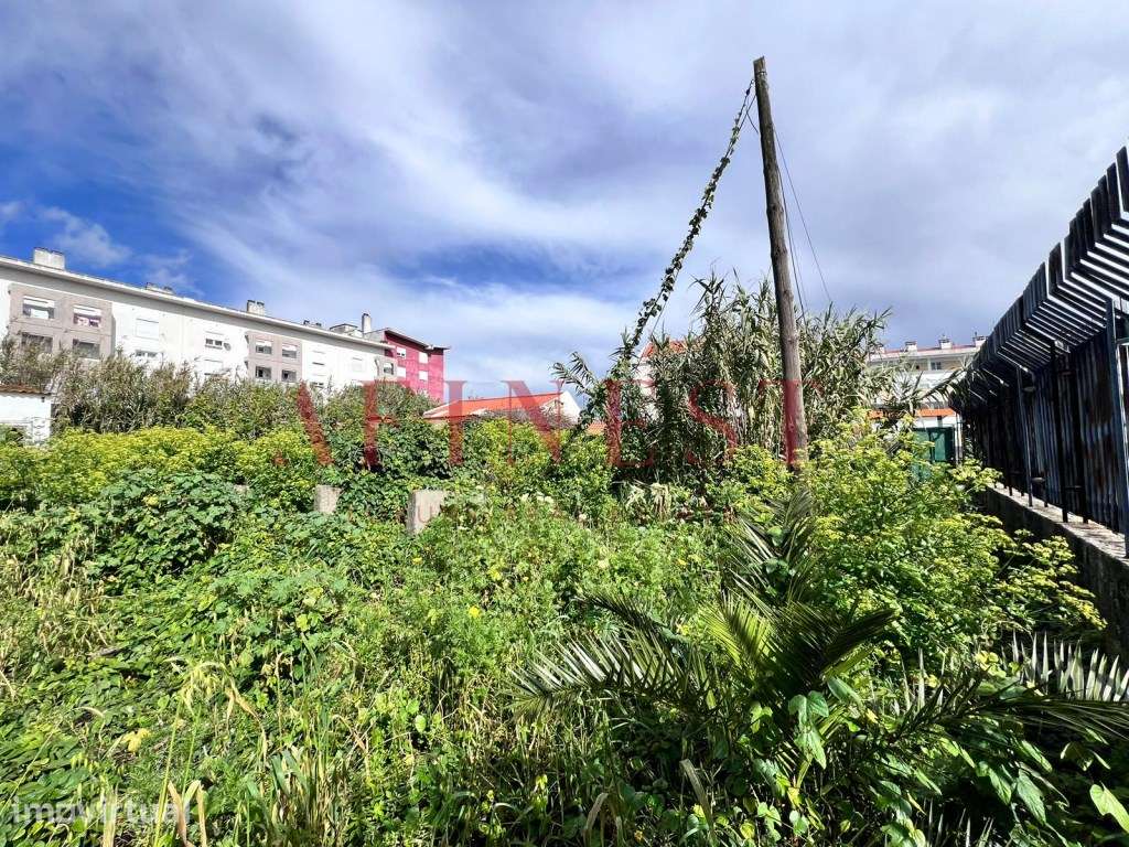 TERRENO RÚSTICO COM POSSIBILIDADE DE PASSAR A URBANO - Grande imagem: 4/4