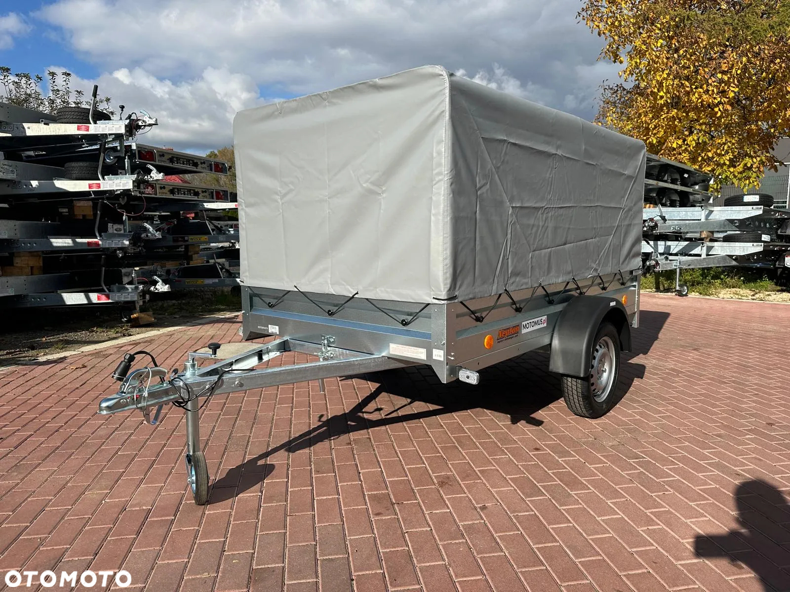 Neptun Przyczepa Neptun N7-236 PTW 236x129x30 + stelaż i plandeka H80 cm DMC 750 kg 1 osiowa funkcja uchyłu - 6