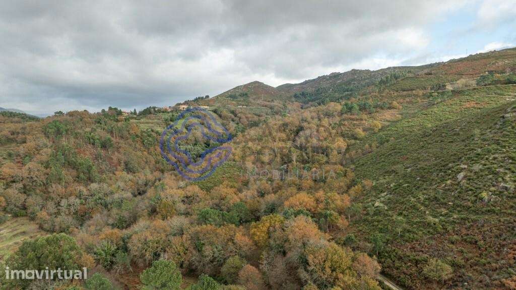 Terreno de 7500 m2 com frente de ribeiro - Terras de Bouro, Braga - Grande imagem: 5/9