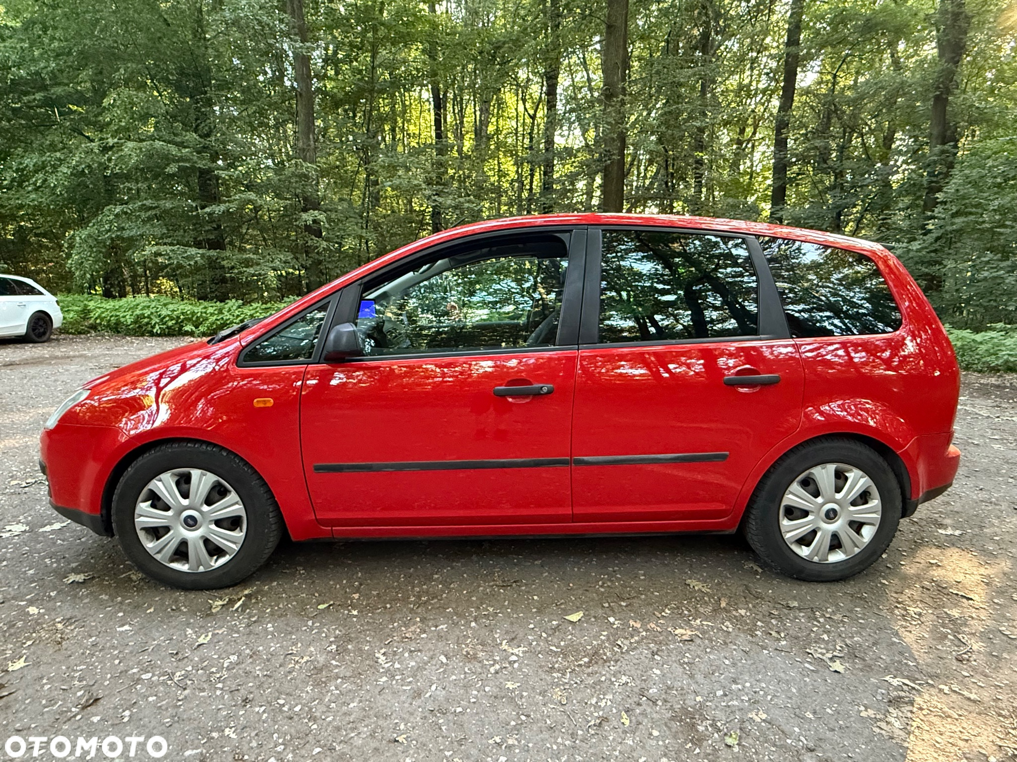 Ford C-MAX - 7