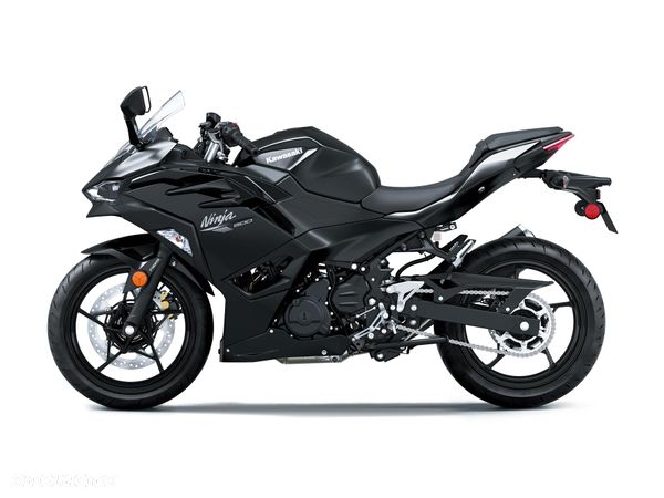 Kawasaki Ninja - 3