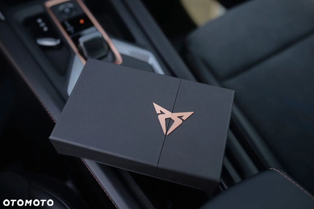Cupra Formentor 2.0 TSI 4Drive DSG - 12