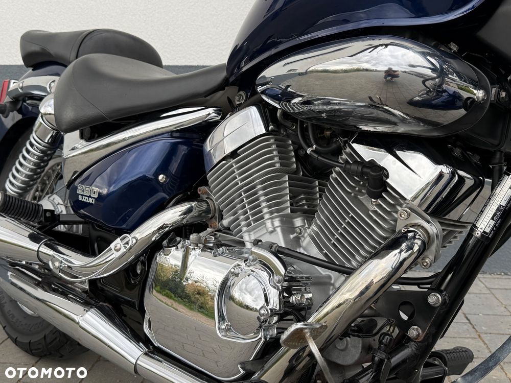 Suzuki Intruder - 8