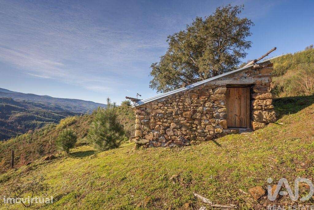 Terreno Agrícola em Sandomil - Grande imagem: 3/8