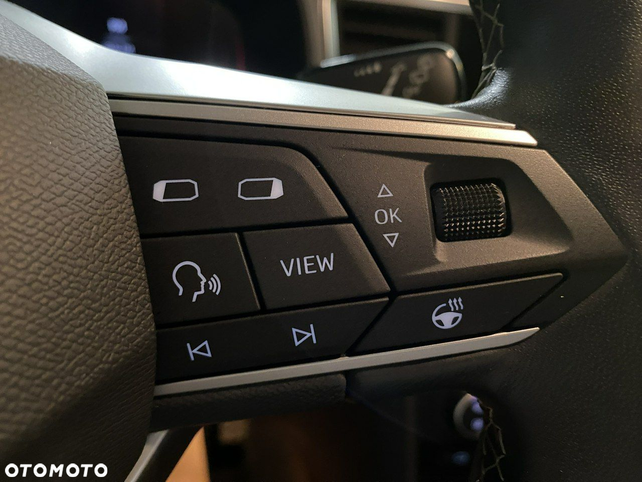 Seat Ateca - 19