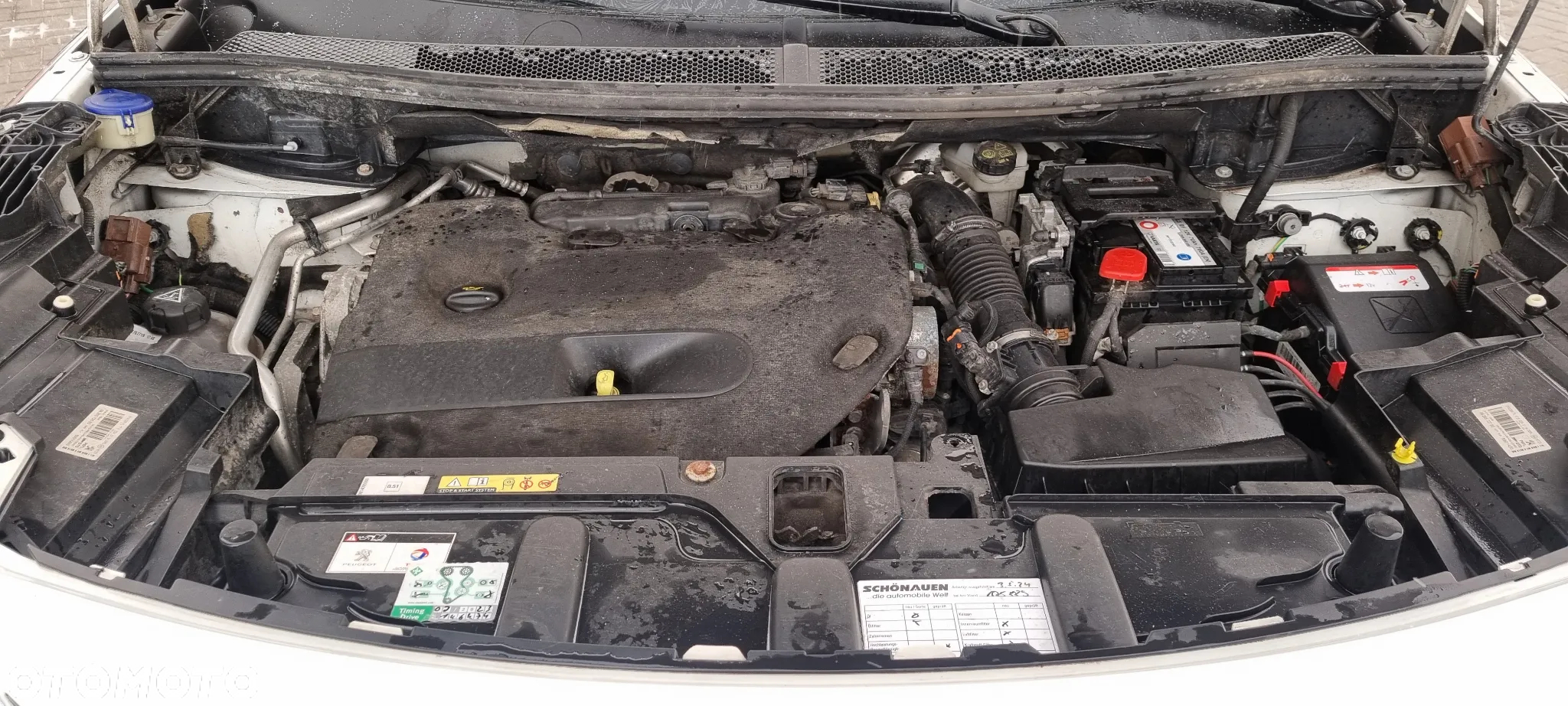 Peugeot 3008 BlueHDi 180 Stop & Start EAT8 Allure - 39