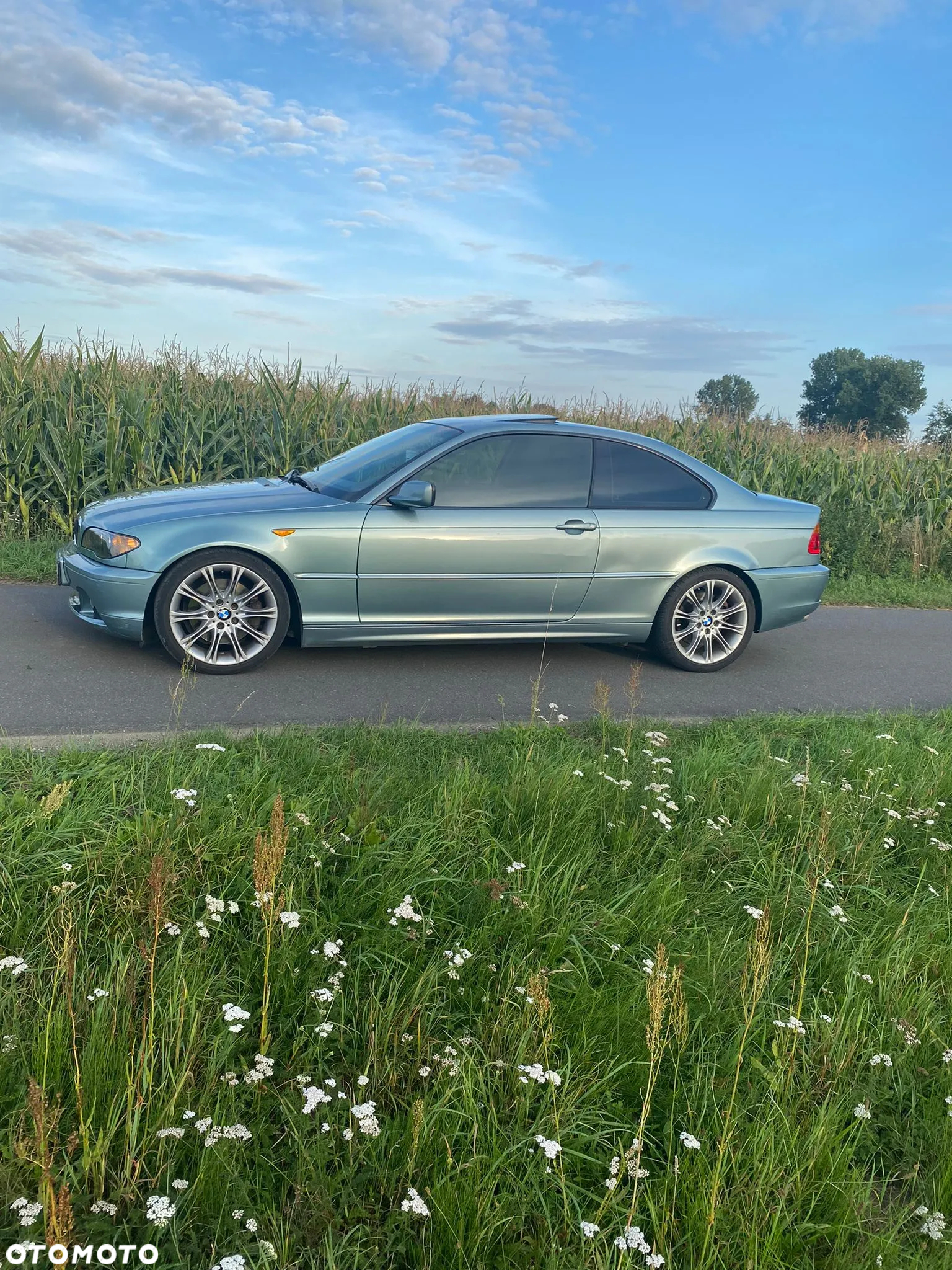 BMW Seria 3 330 Ci - 4
