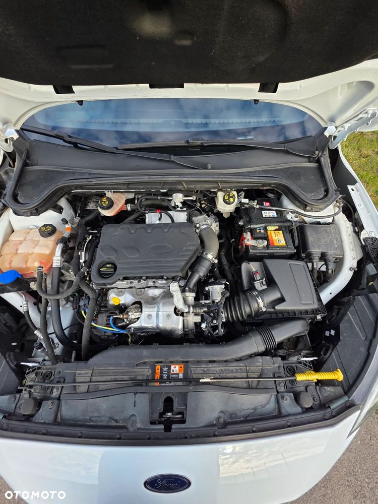 Ford Focus 1.5 TDCi DPF Start-Stopp-System ST-Line - 14