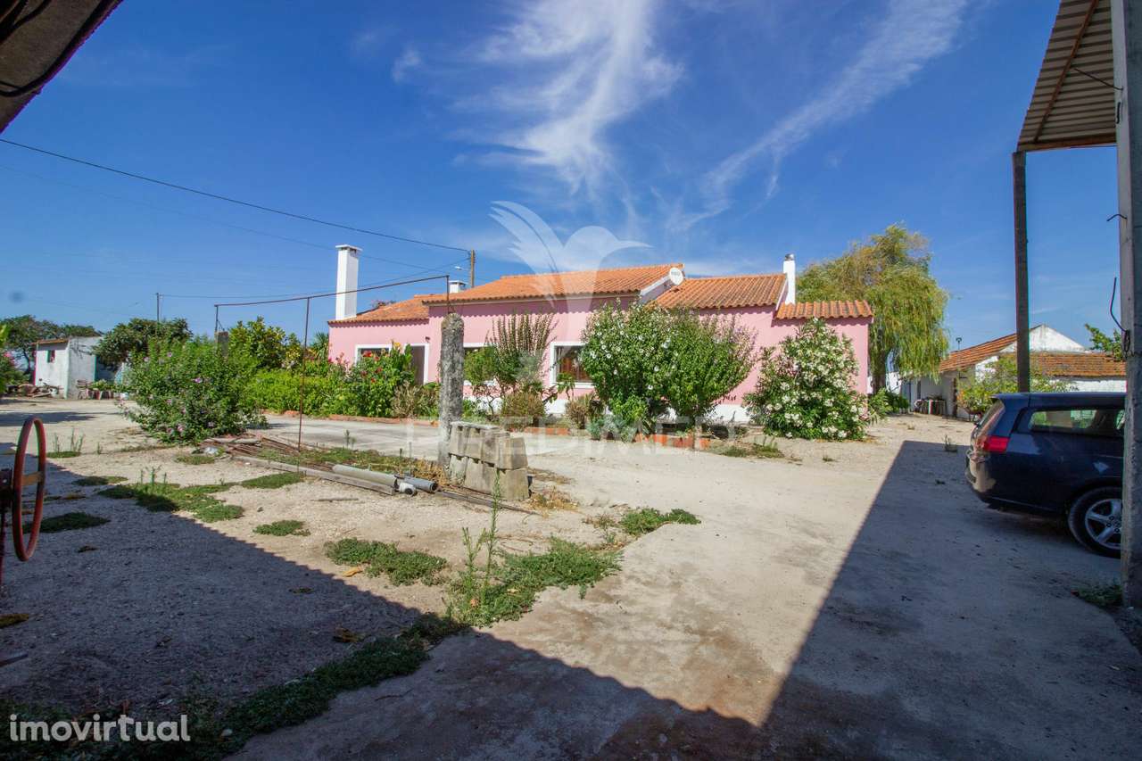 Herdade vinícola na zona do Poceirão - Grande imagem: 3/23