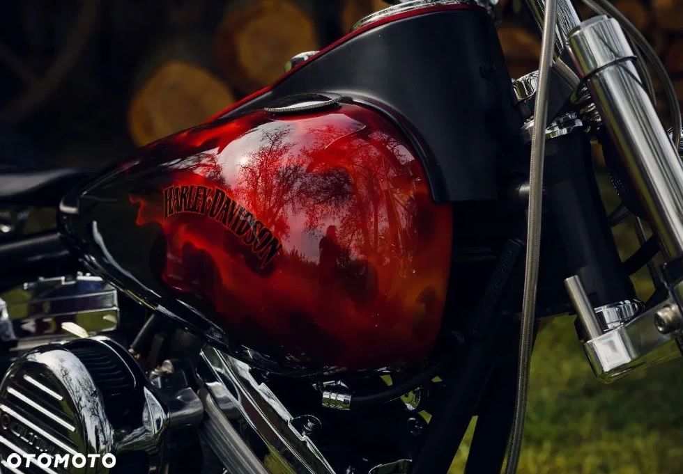 Harley-Davidson Softail Custom - 3