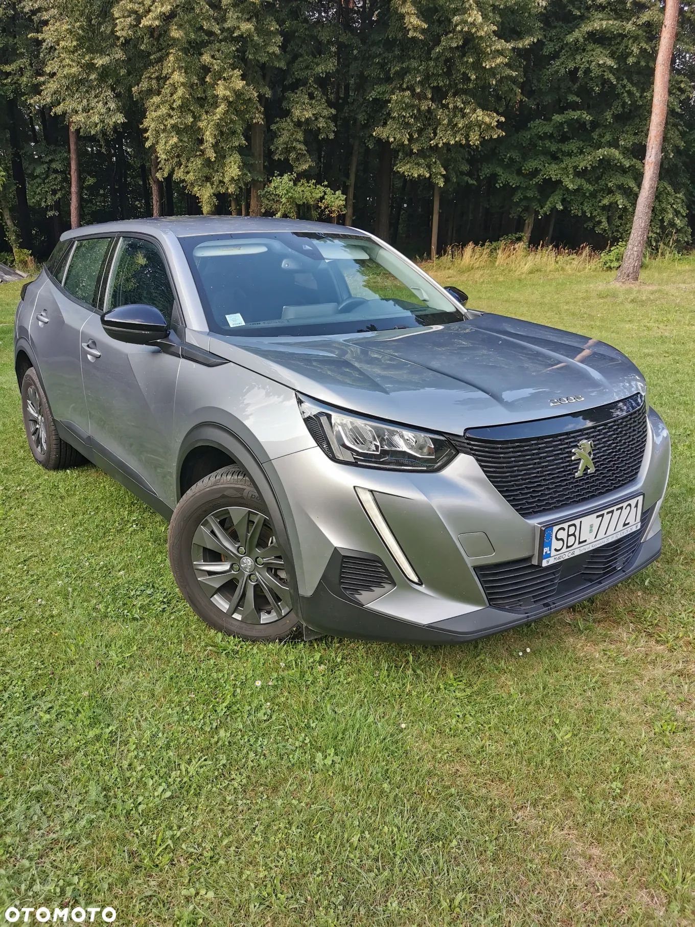Peugeot 2008 PureTech 100 Active - 1