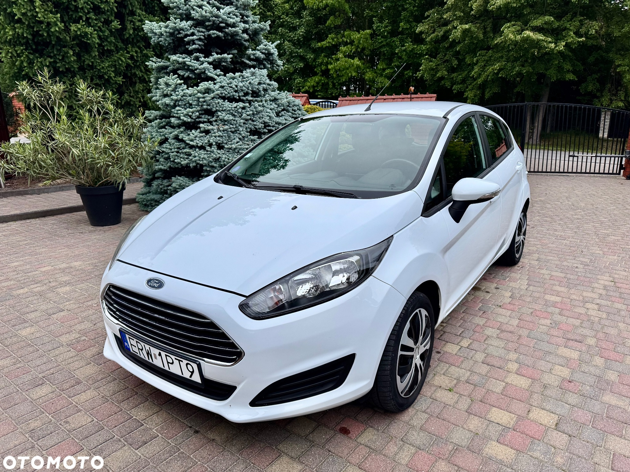 Ford Fiesta - 4