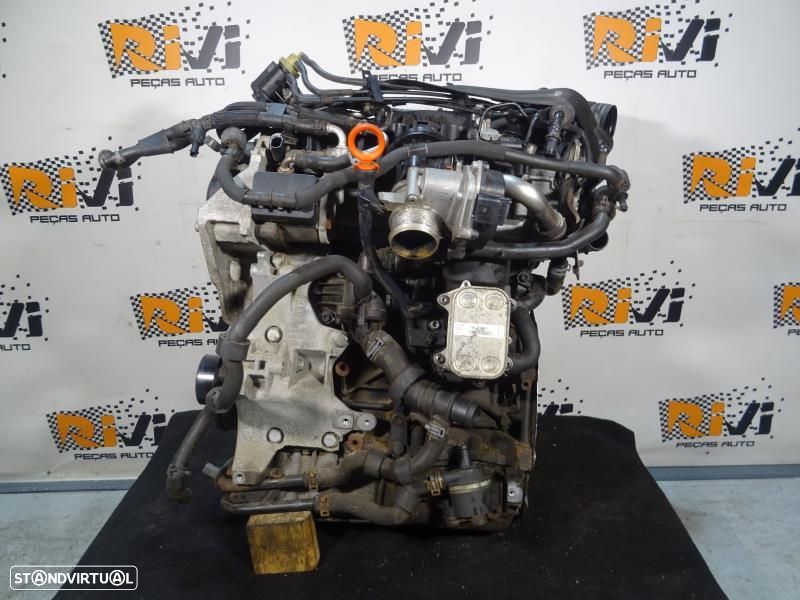 Motor 1.6 TDI CAY VAG - Audi - Seat - Skoda - Volkswagen - 1