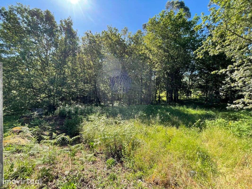 Terreno  para venda - Grande imagem: 3/8